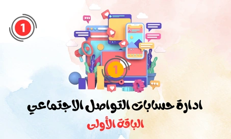 Package One (Social Media Account Management)